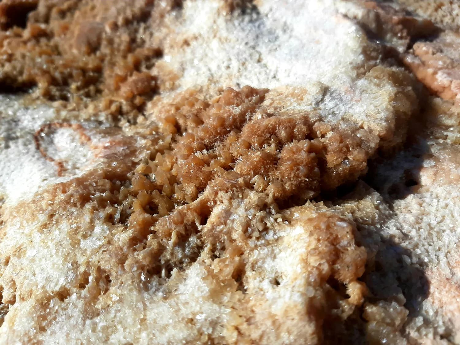 牛肚清洗新姿势，让你秒变厨神！