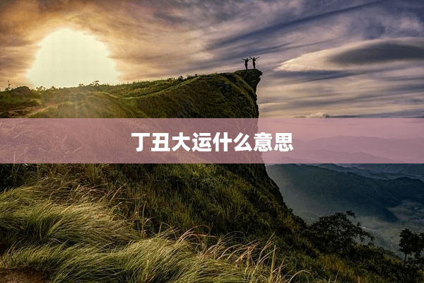 丁丑大运什么意思
