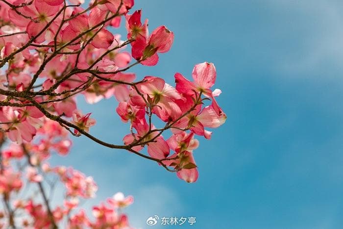 心理学：你给自己贴什么“标签”，你就会变成什么样的人