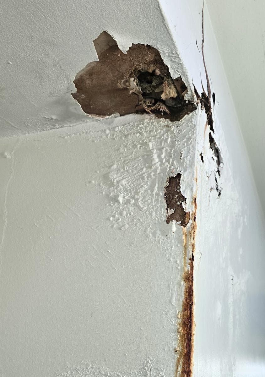老房子屋顶漏水怎么处理最好？老房子屋顶漏水处理指南