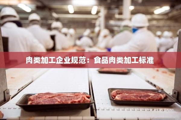 肉类加工企业规范：食品肉类加工标准