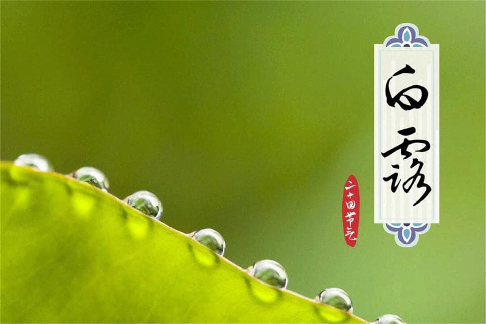明日白露，喝1茶，吃1果，饮3汤，顺应时令调饮食，准备好入深秋