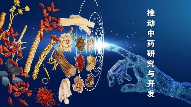 人工智能在中医药领域的应用：开启传统医学的新篇章