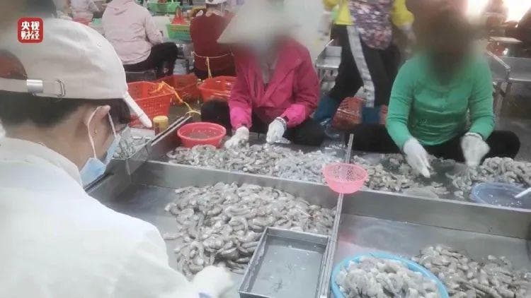 保水虾仁后续：产品召回！与辉同行退一赔三，东方甄选发长文自证