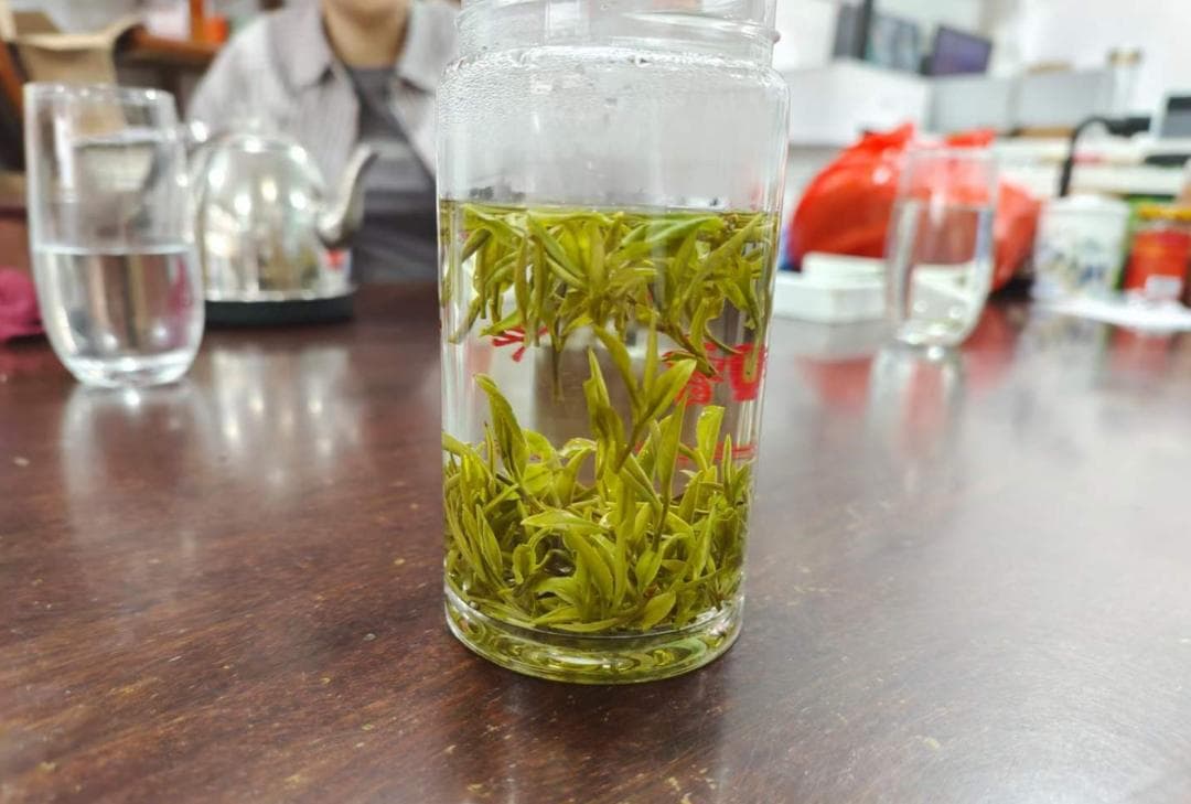 茶可以泡几次？记住这个顺口溜