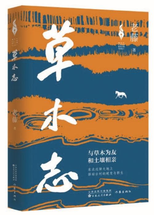 《草木志》把创作建立在广袤立体多维全息的生活形态之上