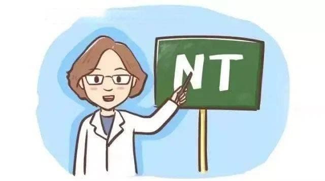 孕妈必读——产检大关卡之NT检查