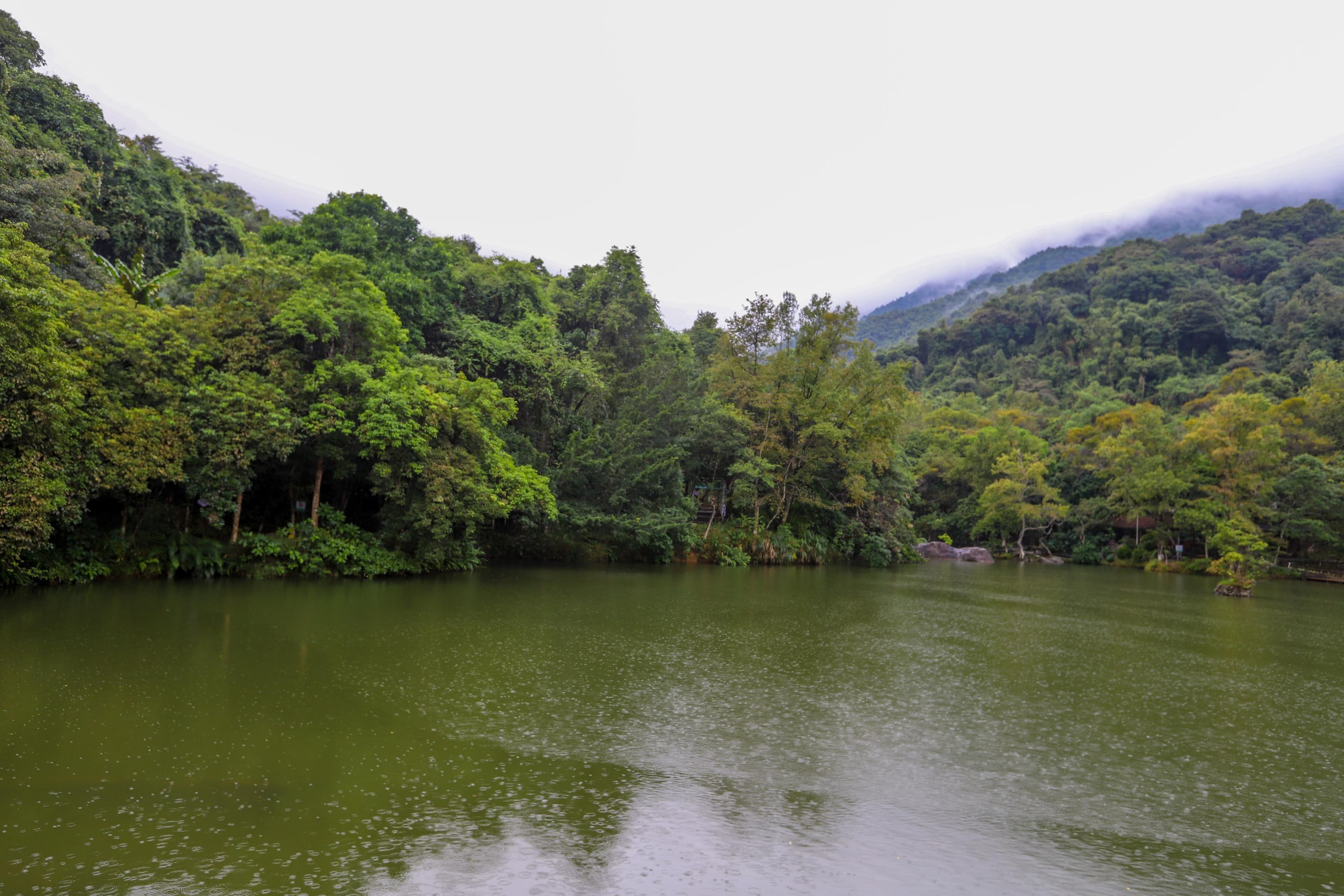河源野趣沟：山间的天然大氧吧，体验山泉足浴游