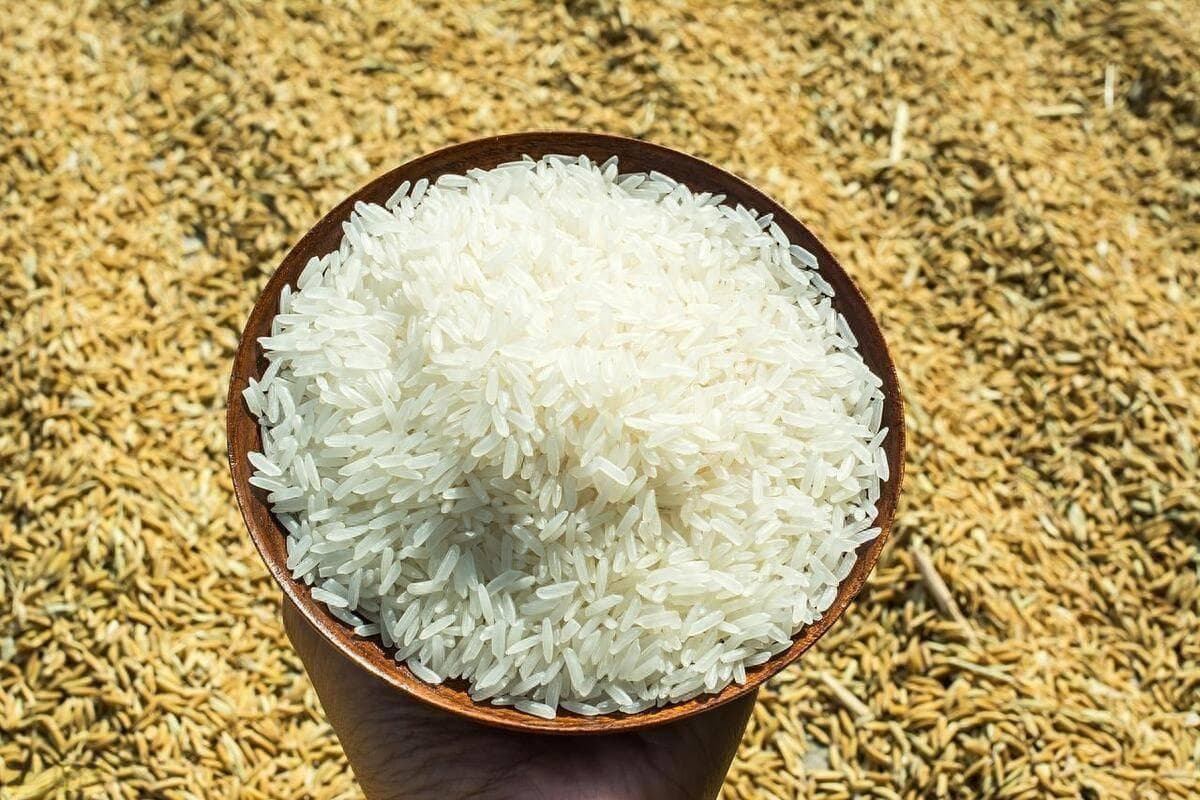 低GI大米：健康生活的新主食