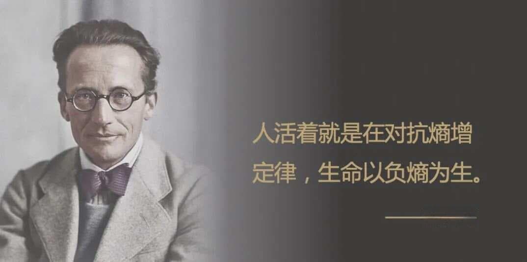 成长的底层逻辑：生命以负熵为生
