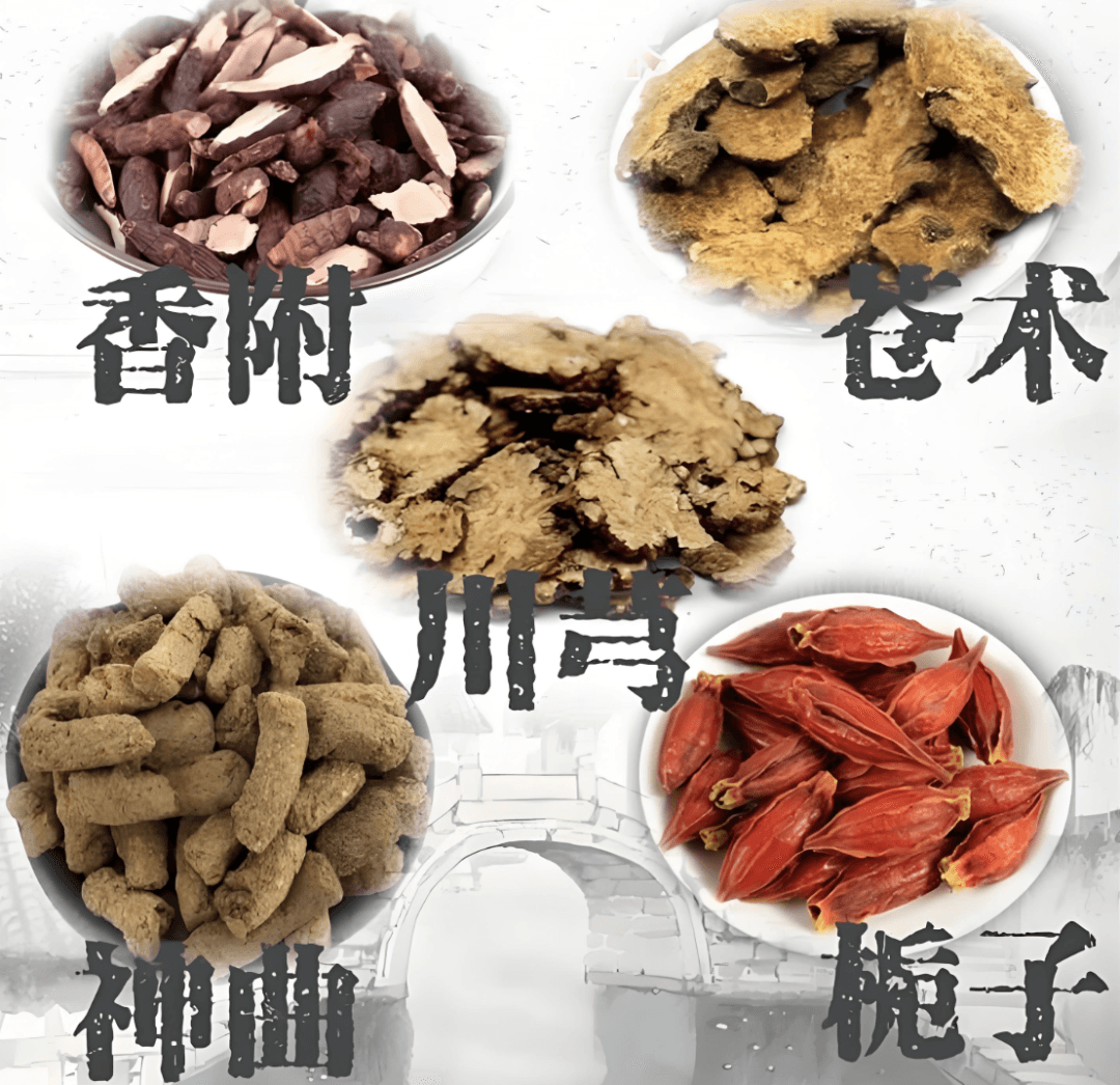 越鞠丸：朱丹溪“六郁学说”的经典方剂