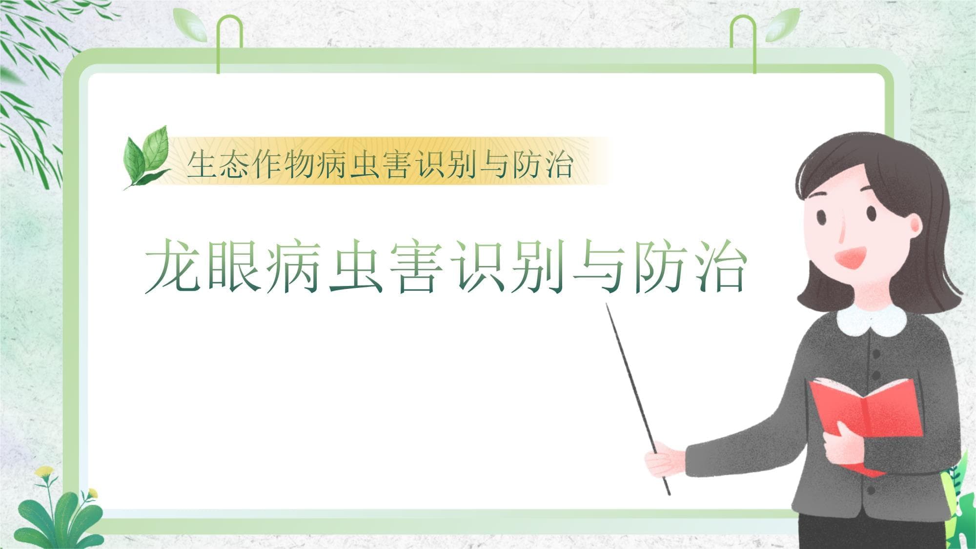 生态作物病虫害识别与防治 课件 21 龙眼荔枝蝽和龙眼鸡识别与防治