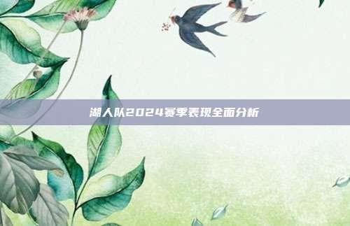 湖人队2024赛季表现全面分析