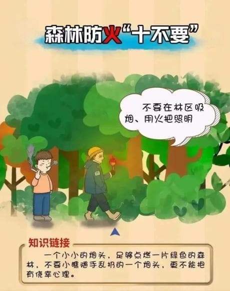 森林防火进入关键期，这十种行为要避免