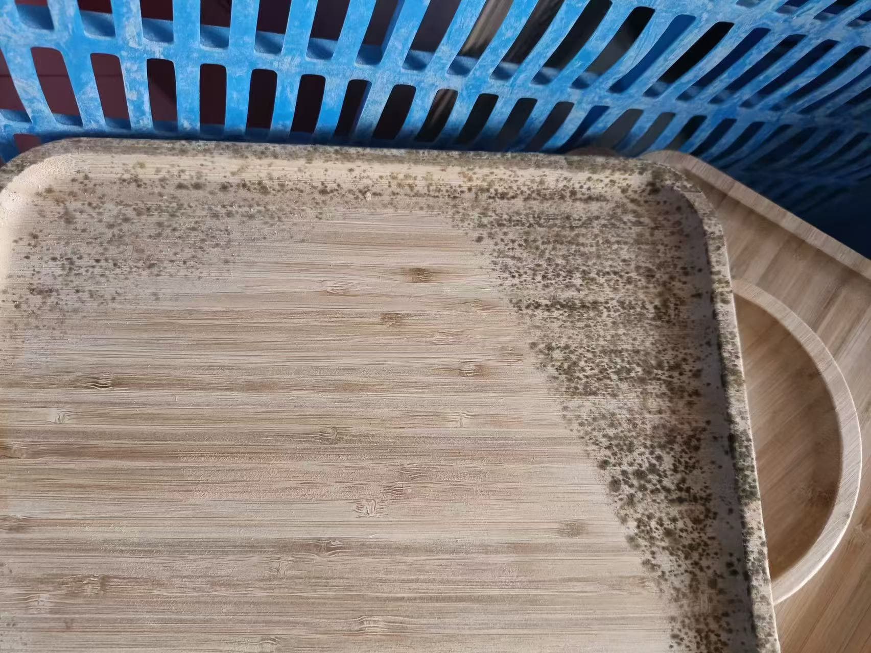 木材防霉剂的正确使用方法，保护家中木制品不受潮