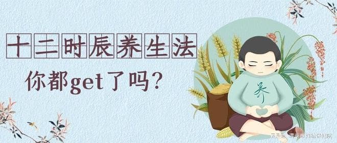 十二时辰养生法：中医里的生命密码