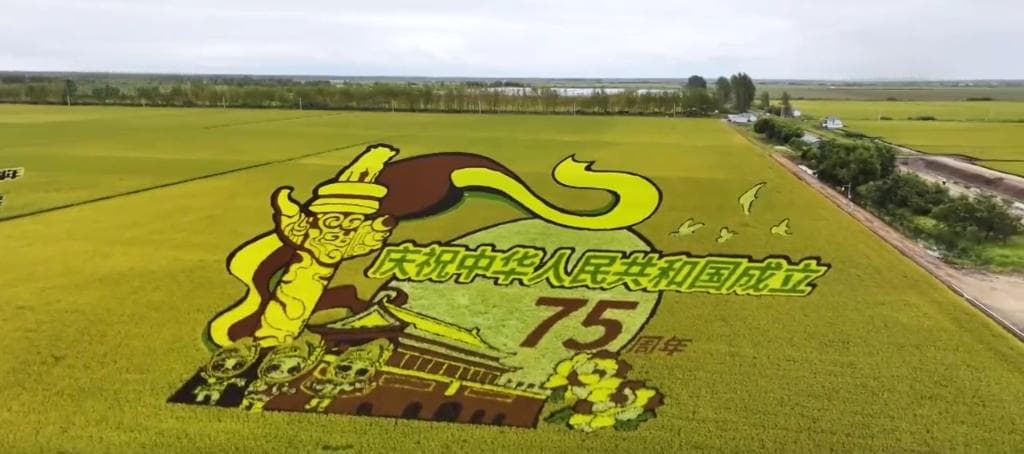 荒原变粮仓 “数”说北大荒新型农业现代化道路