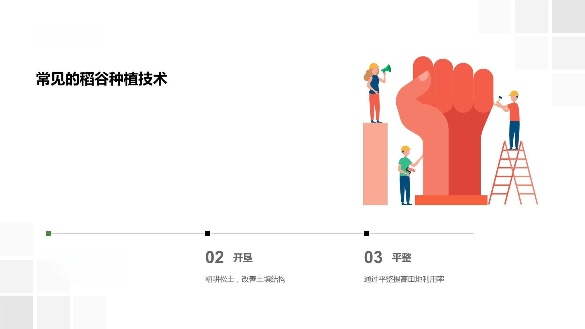稻田新篇章：科技种植-现代农业的技术与智慧应用