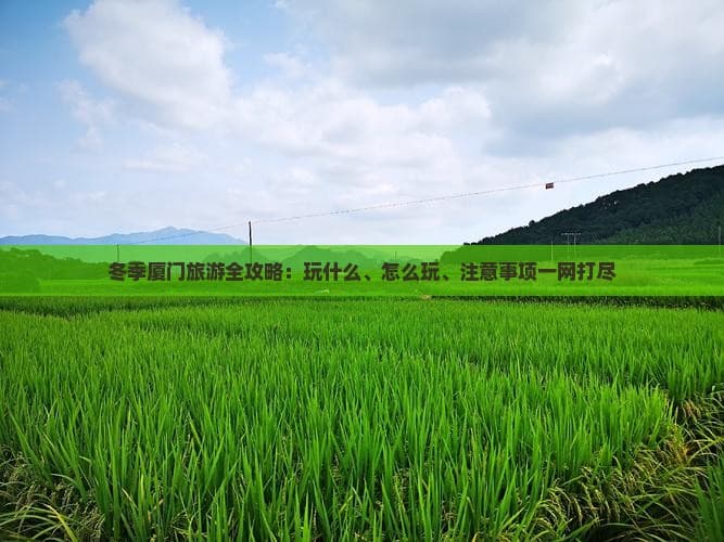 冬季厦门旅游全攻略：玩什么、怎么玩、注意事项一网打尽