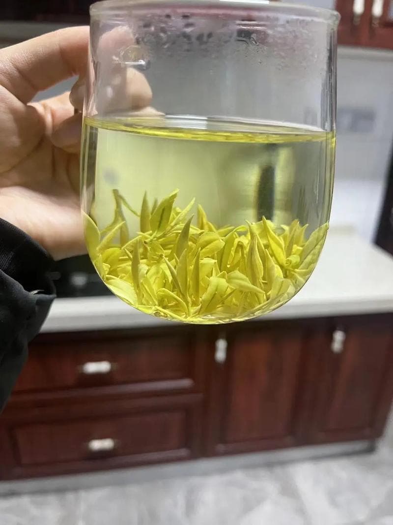 安吉白茶的特点和功效，全面解读