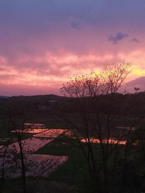 安康旅游攻略：不可错过的自然景观与文化体验