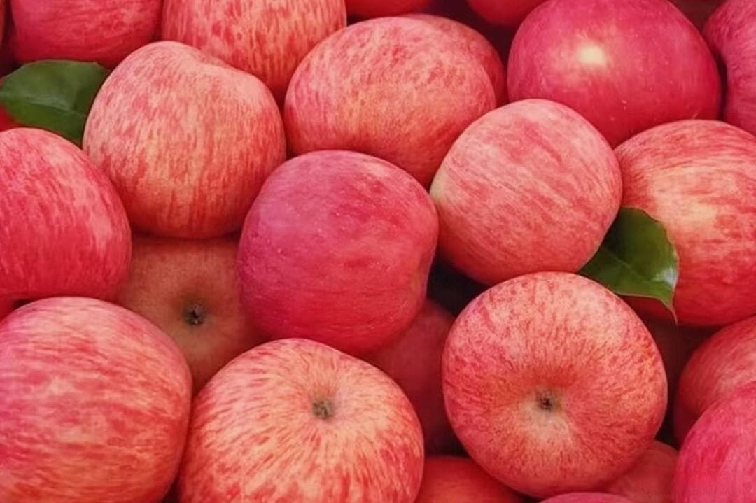 果农十年经验：教你挑选优质苹果的五大诀窍