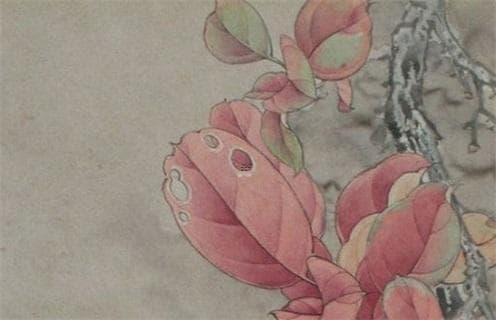 八字基础运含义揭秘：命理基础运由何决定