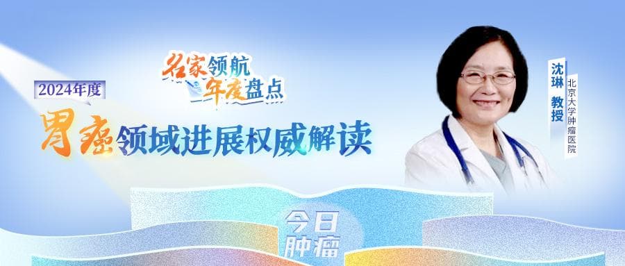 2024年度胃癌围术期、其他靶点治疗现状与问题丨名家领航，年度盘点