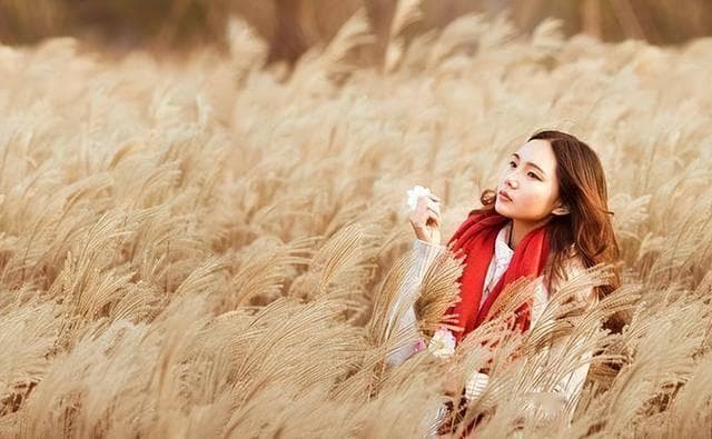 活得漂亮：优秀女性的三大生存法则