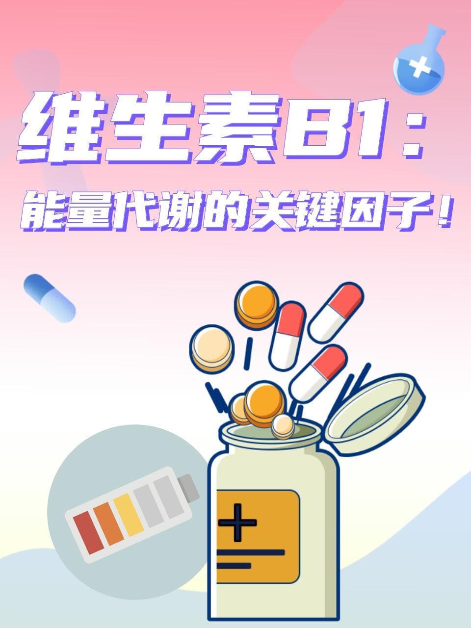 维生素B1：能量代谢的关键因子！