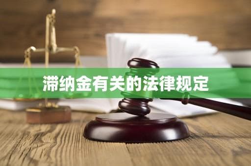 滞纳金有关的法律规定