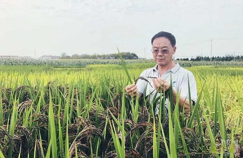 农业领域的院士专家有哪些
