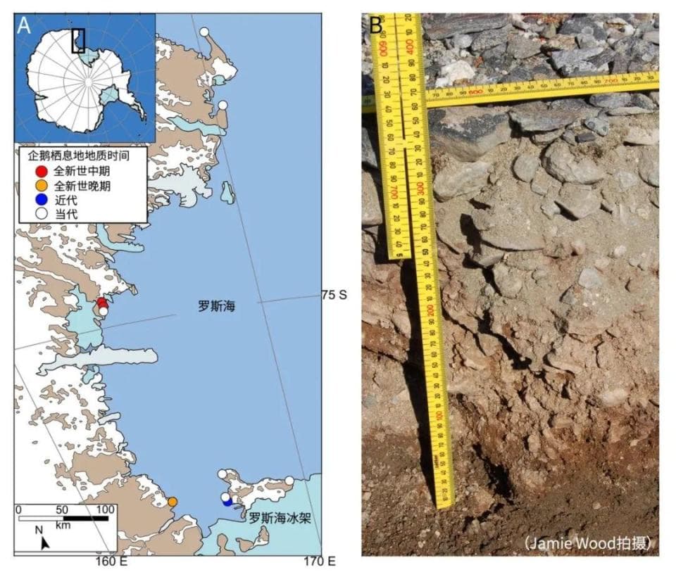 浙大演化中心最新论文：古DNA技术解码南极6000年生态档案