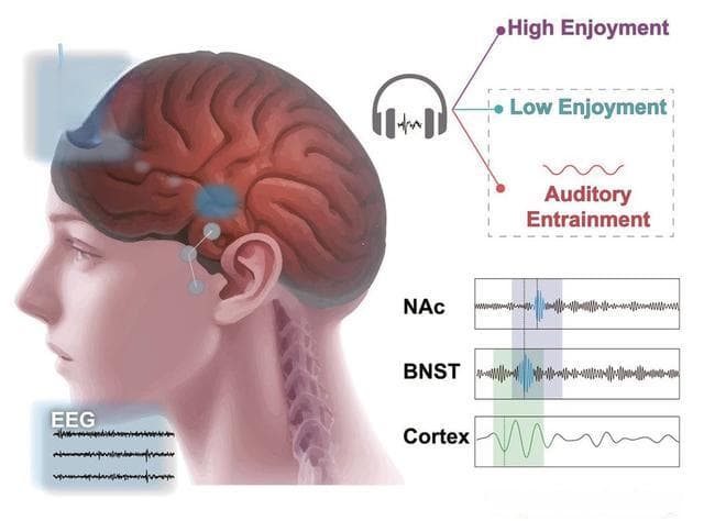 听古典音乐治疗抑郁症？中国科学家探索音乐疗法新应用