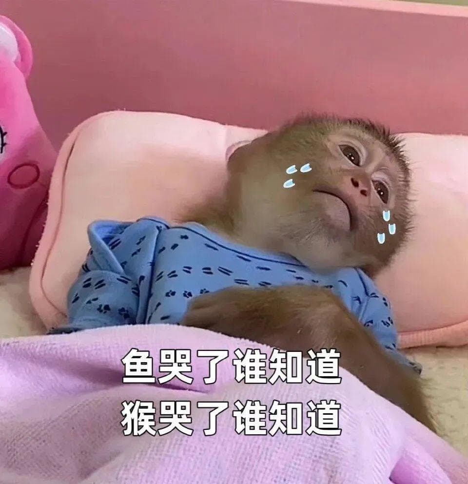 13544元！上海平均月薪最新公布！最赚钱的行业居然是...