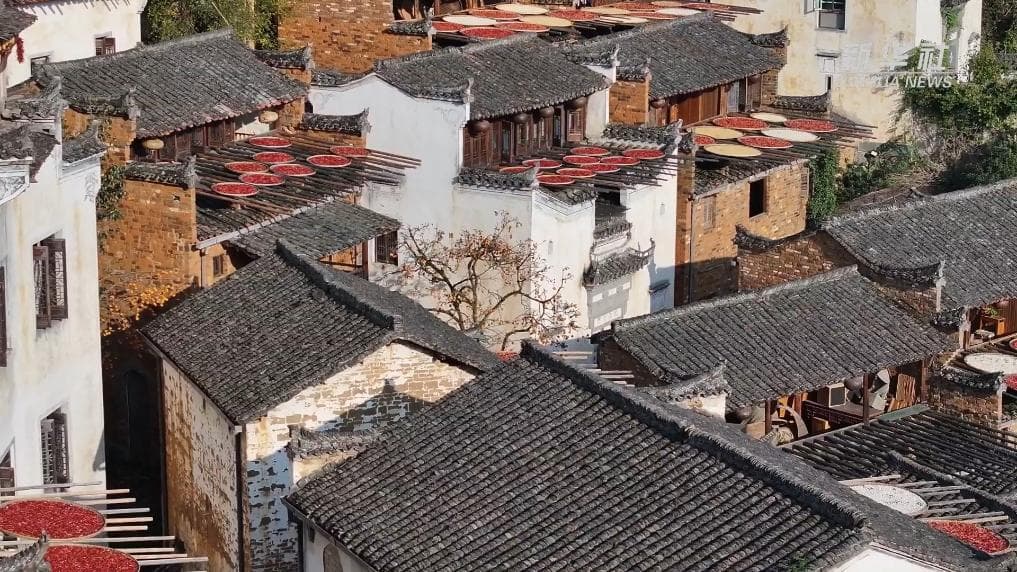 从几近消亡到美翻全网，看婺源篁岭古村的“华丽转身”
