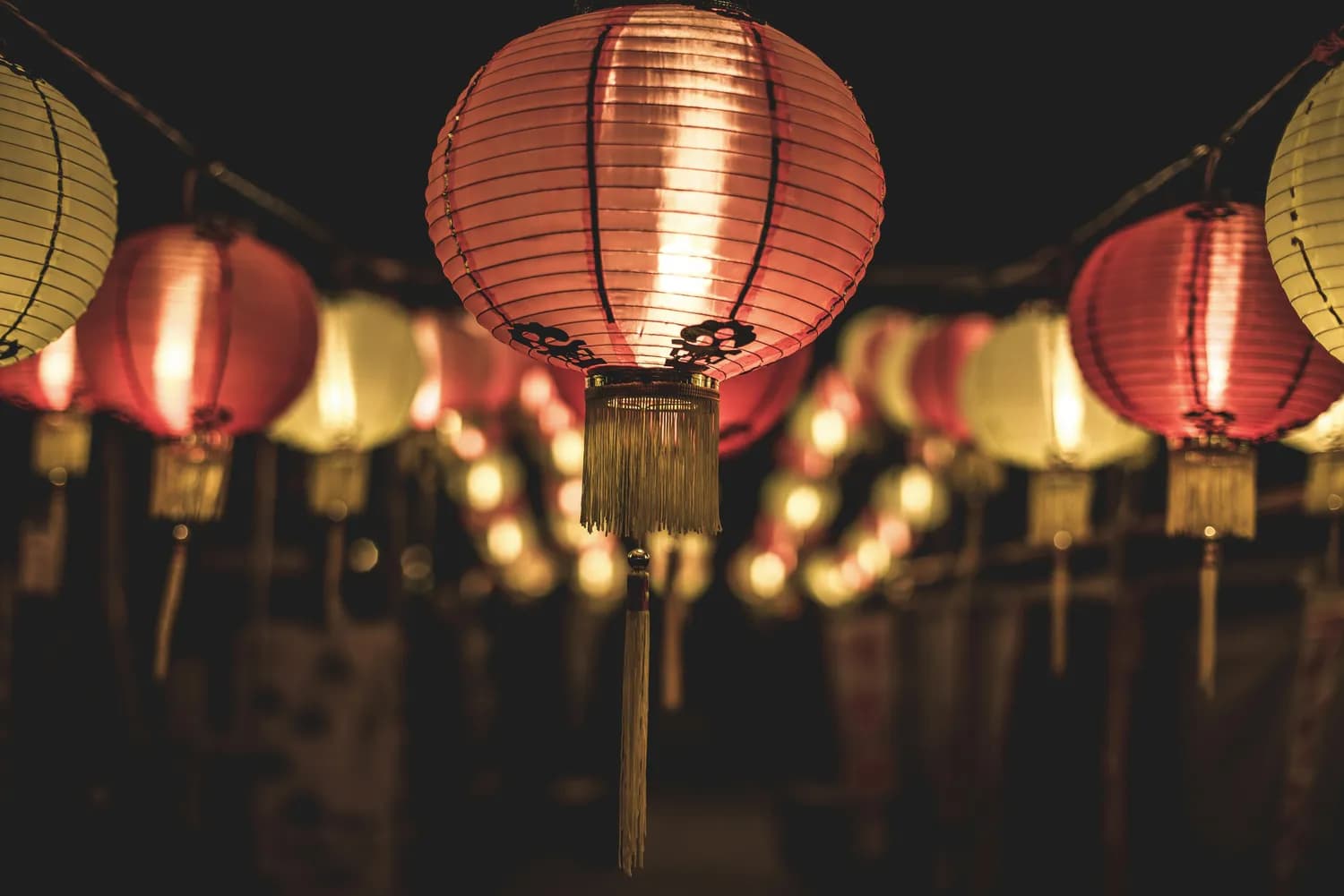 安乐哲新书解读：生生不息的哲学智慧