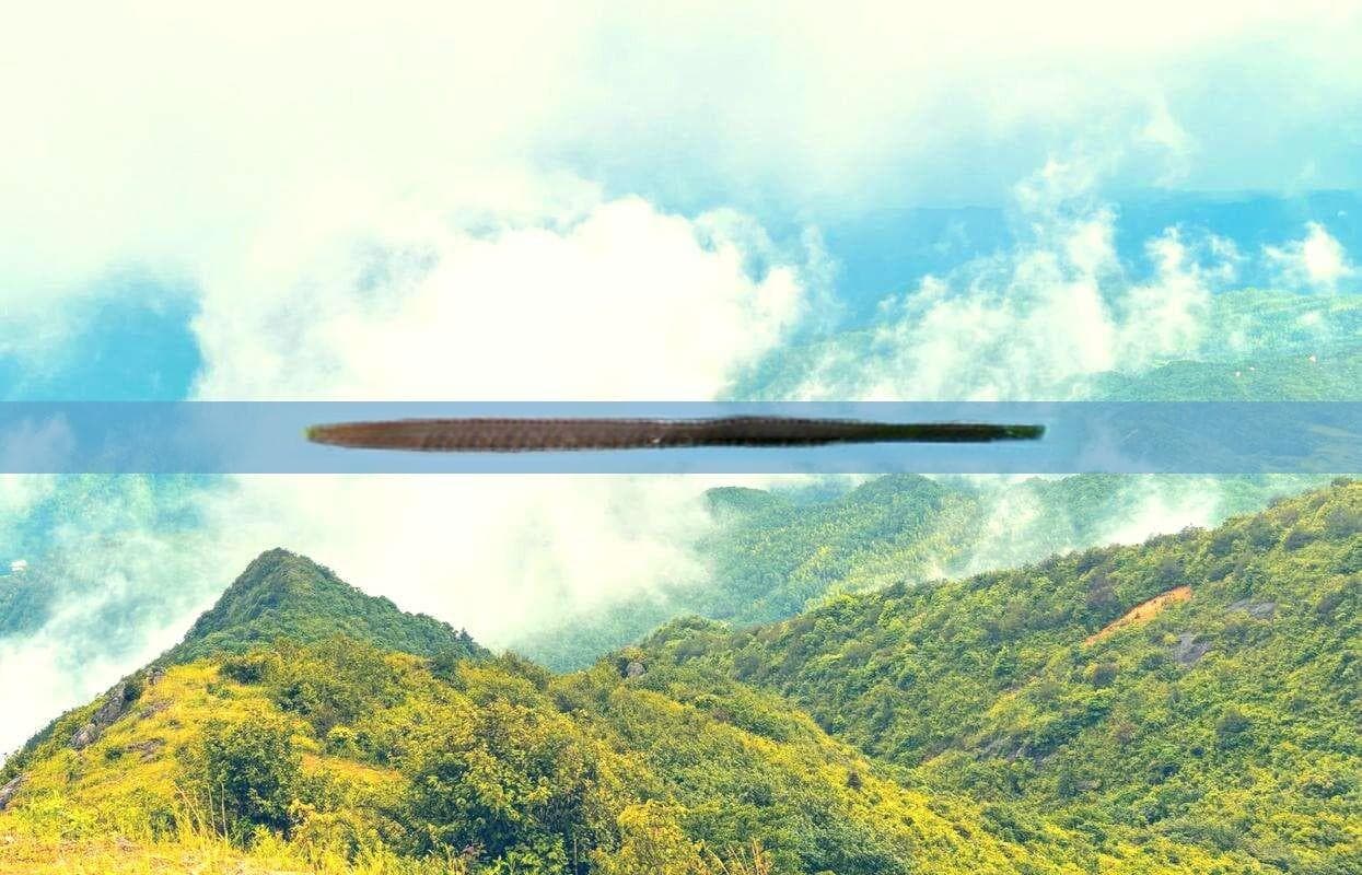 深度游云南墨江：定制攻略与特色路线指南
