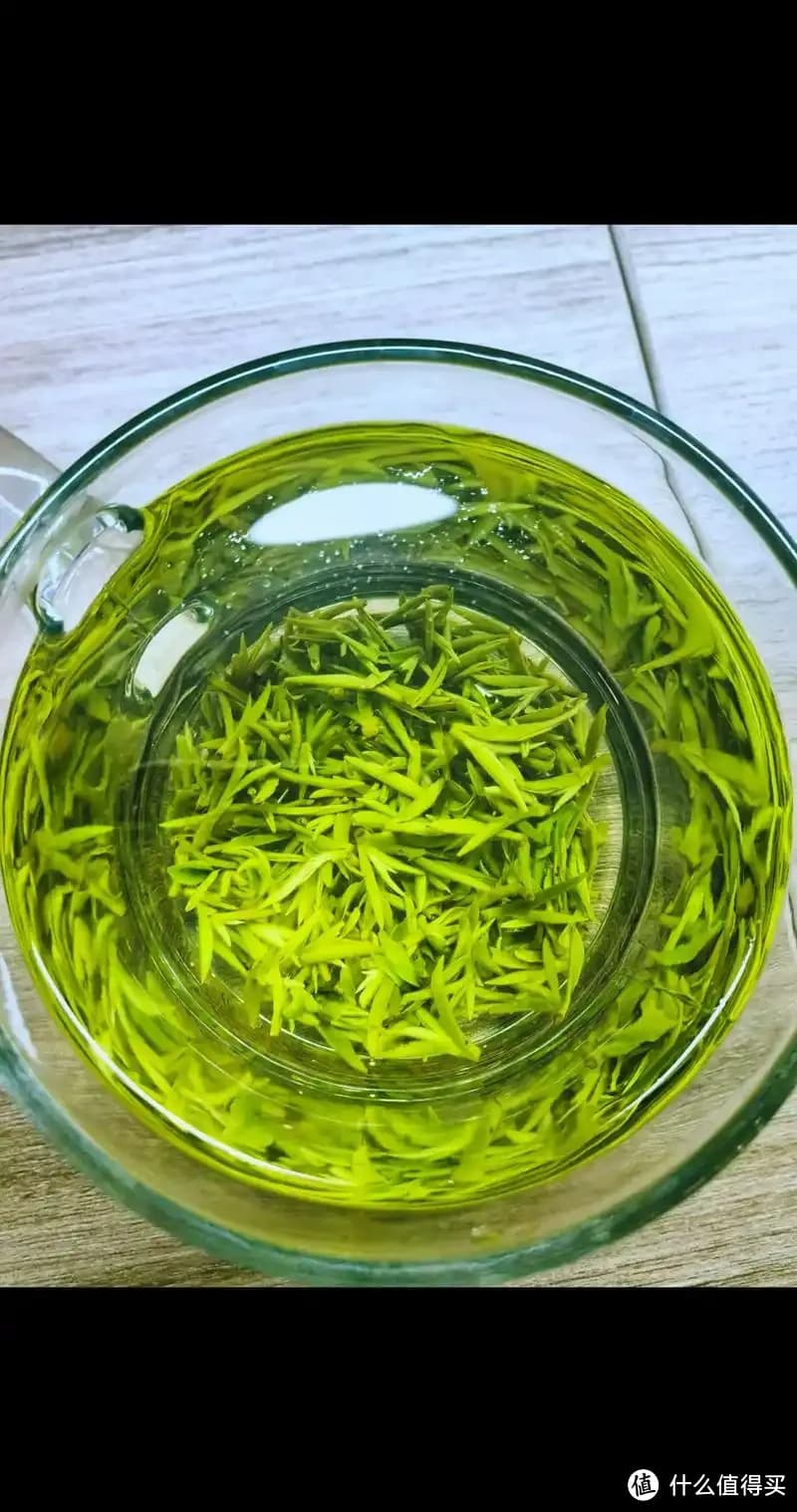 春茶上新品鉴碧螺春，春日的舌尖尝甘露