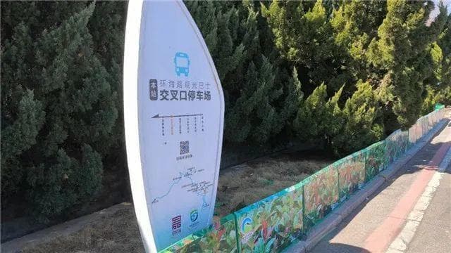 威海观光巴士全攻略：5种巴士路线详解，玩转千里山海