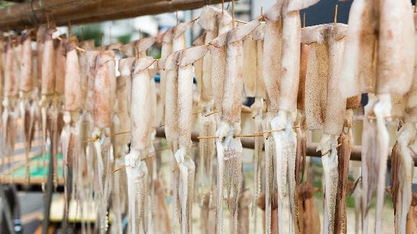 墨鱼食用禁忌：荨麻疹、高血脂等四类人慎食