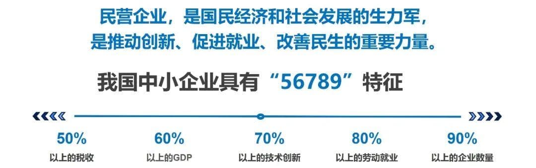 颜江瑛：我们到底需要什么样的企业家精神？