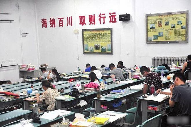 “能就业不考研”渐成共识？深度剖析2025国家线下跌的4大真相