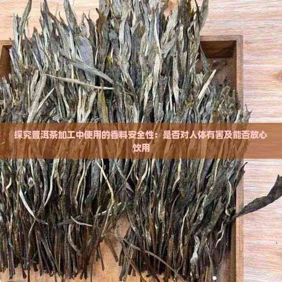 探究普洱茶加工中使用的香料安全性：是否对人体有害及能否放心饮用