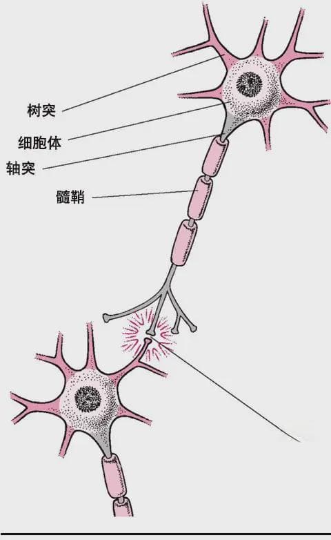 意识是人类区别于动物的根本所在，人类为什么拥有意识？