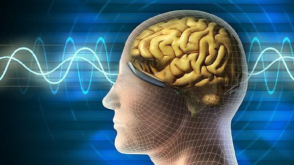 缺血缺氧性脑病的科学恢复指南