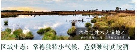 致敬常德这片热土：探索中国名酒武陵酒的深厚历史渊源