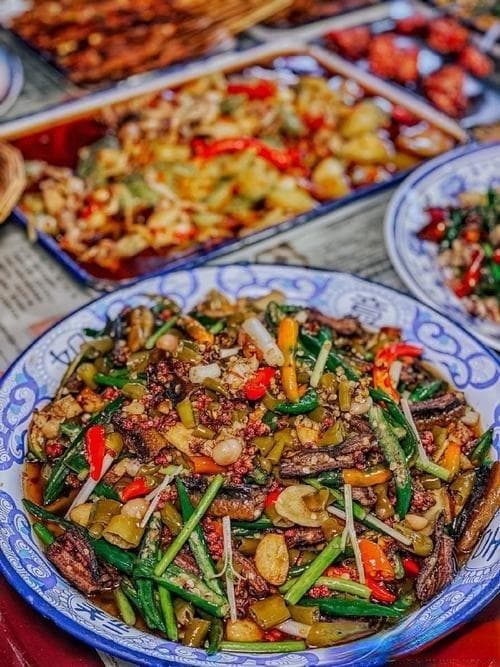 壁虎在生态系统中的作用