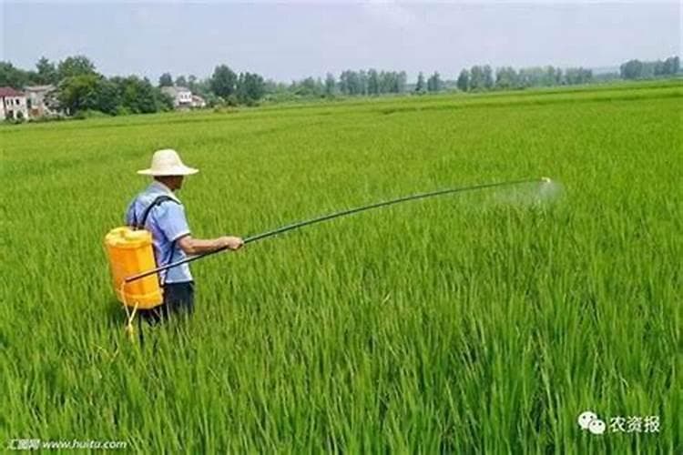 农业新视角：经济高效复配混用农药的策略与实践