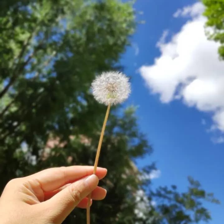 纸杯投影仪：宅家也能做的科学小实验